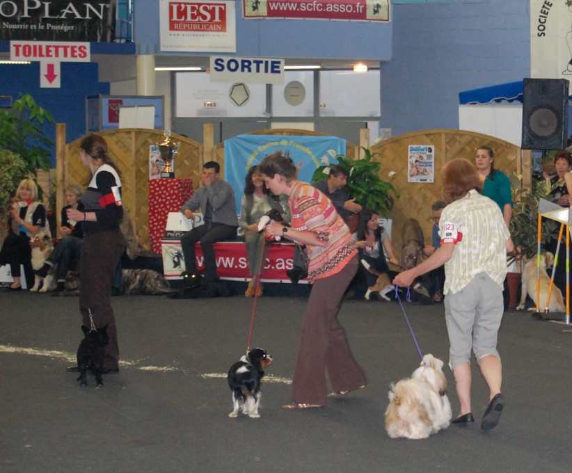 DSC_3597.jpg
