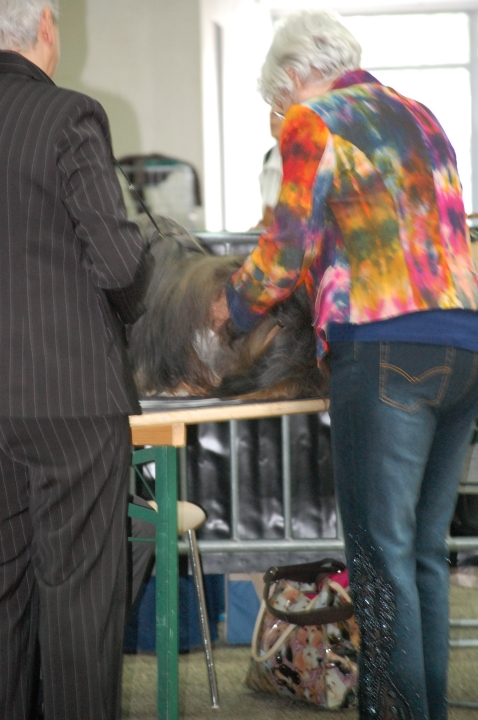DSC_6096.jpg