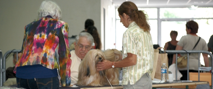 DSC_6101.jpg