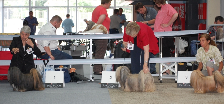 DSC_6116.jpg