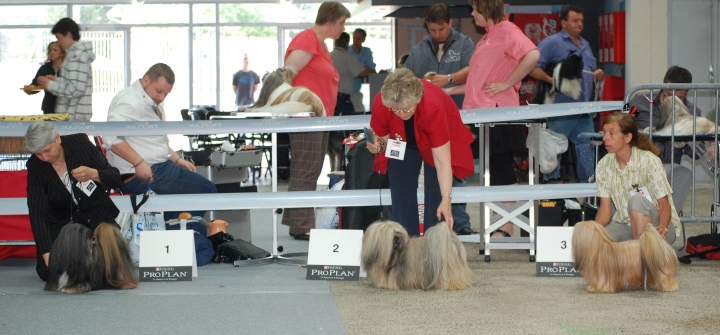 DSC_6117.jpg