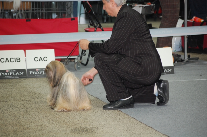 DSC_6131.jpg