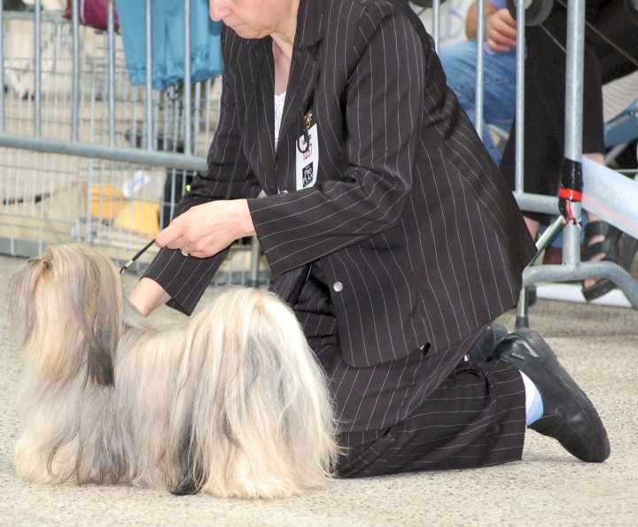DSC_6133.jpg