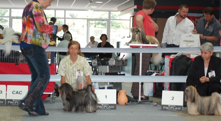 DSC_6144.jpg