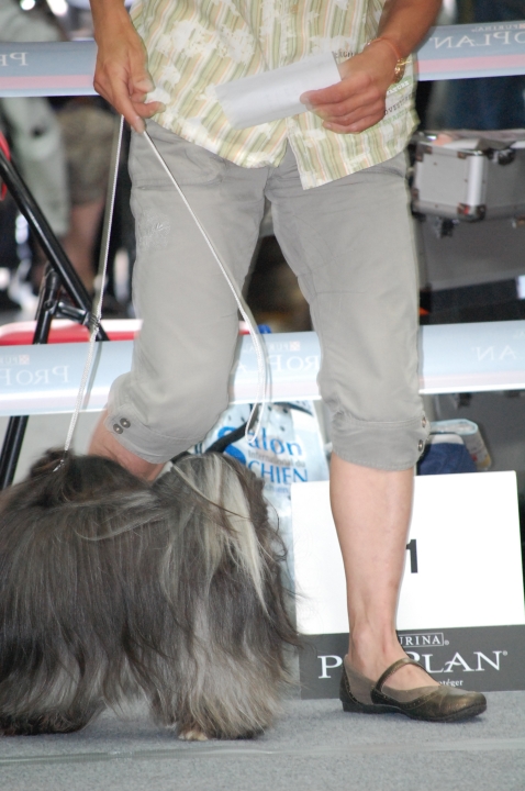 DSC_6145.jpg