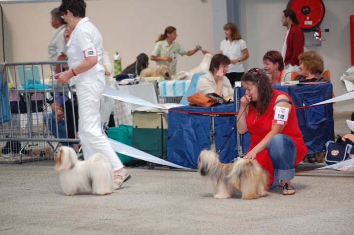 DSC_6147.jpg