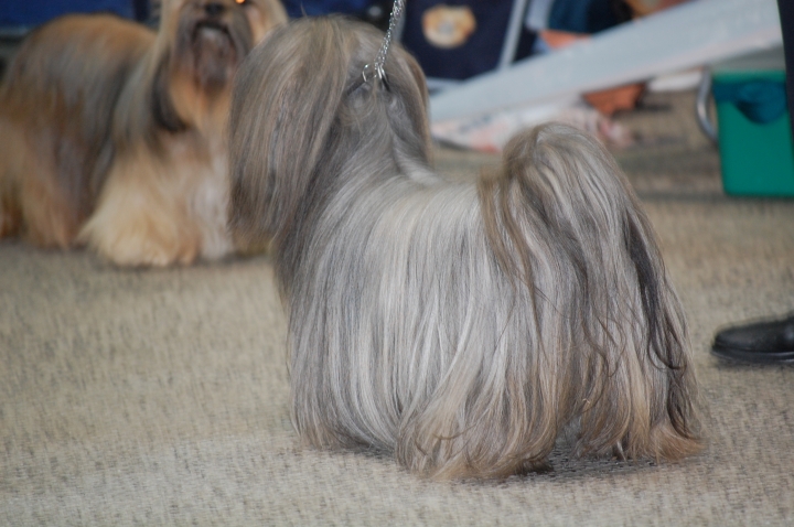 DSC_6158.jpg