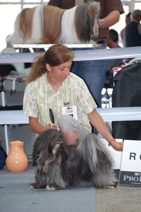 DSC_6190.jpg