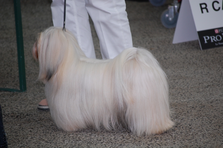 DSC_6216.jpg