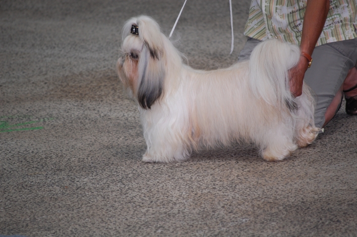 DSC_6227.jpg