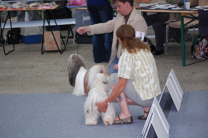 DSC_6229.jpg