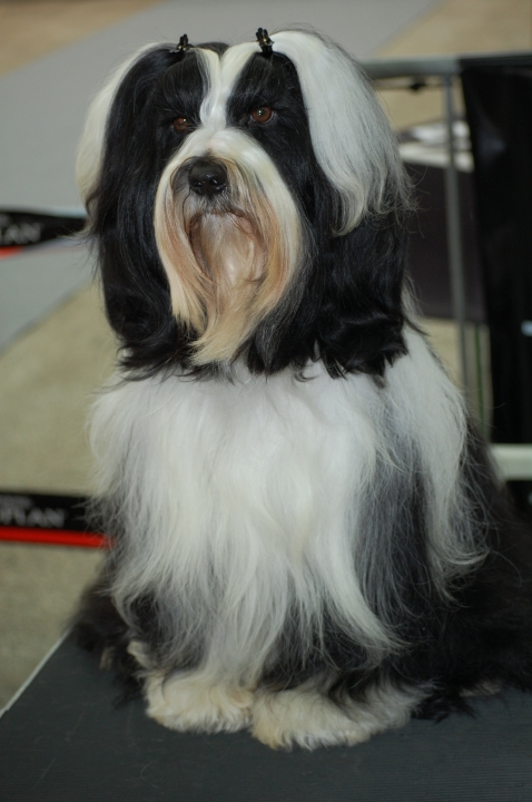 DSC_6236.jpg