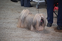 DSC_6088.jpg