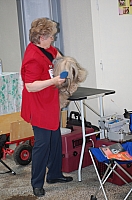 DSC_6090.jpg