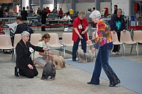 DSC_6093.jpg