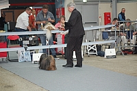 DSC_6099.jpg