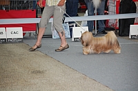 DSC_6100.jpg