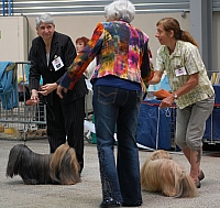 DSC_6114.jpg