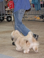 DSC_6120.jpg