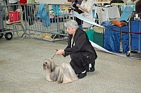 DSC_6125.jpg