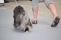DSC_6140.jpg