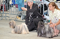 DSC_6141.jpg
