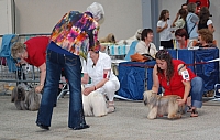 DSC_6146.jpg