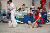DSC_6147.jpg