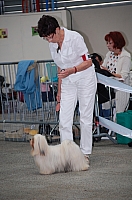 DSC_6149.jpg