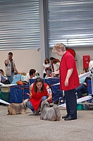 DSC_6154.jpg