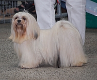 DSC_6174.jpg