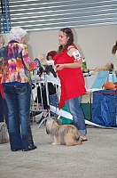 DSC_6178.jpg
