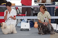 DSC_6188.jpg