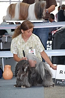 DSC_6190.jpg