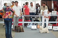 DSC_6198.jpg