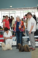 DSC_6201.jpg