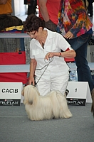 DSC_6203.jpg