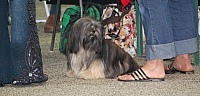 DSC_6209.jpg