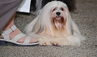 DSC_6212.jpg