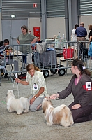 DSC_6225.jpg