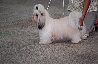 DSC_6227.jpg