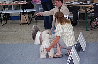 DSC_6229.jpg