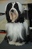 DSC_6236.jpg