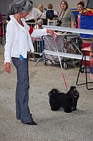 DSC_6239.jpg