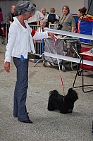 DSC_6240.jpg