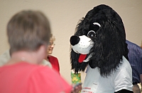 DSC_6253.jpg