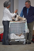 DSC_6256.jpg