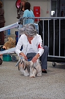 DSC_6259.jpg