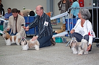 DSC_6260.jpg