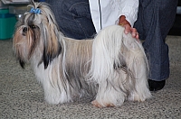 DSC_6263.jpg